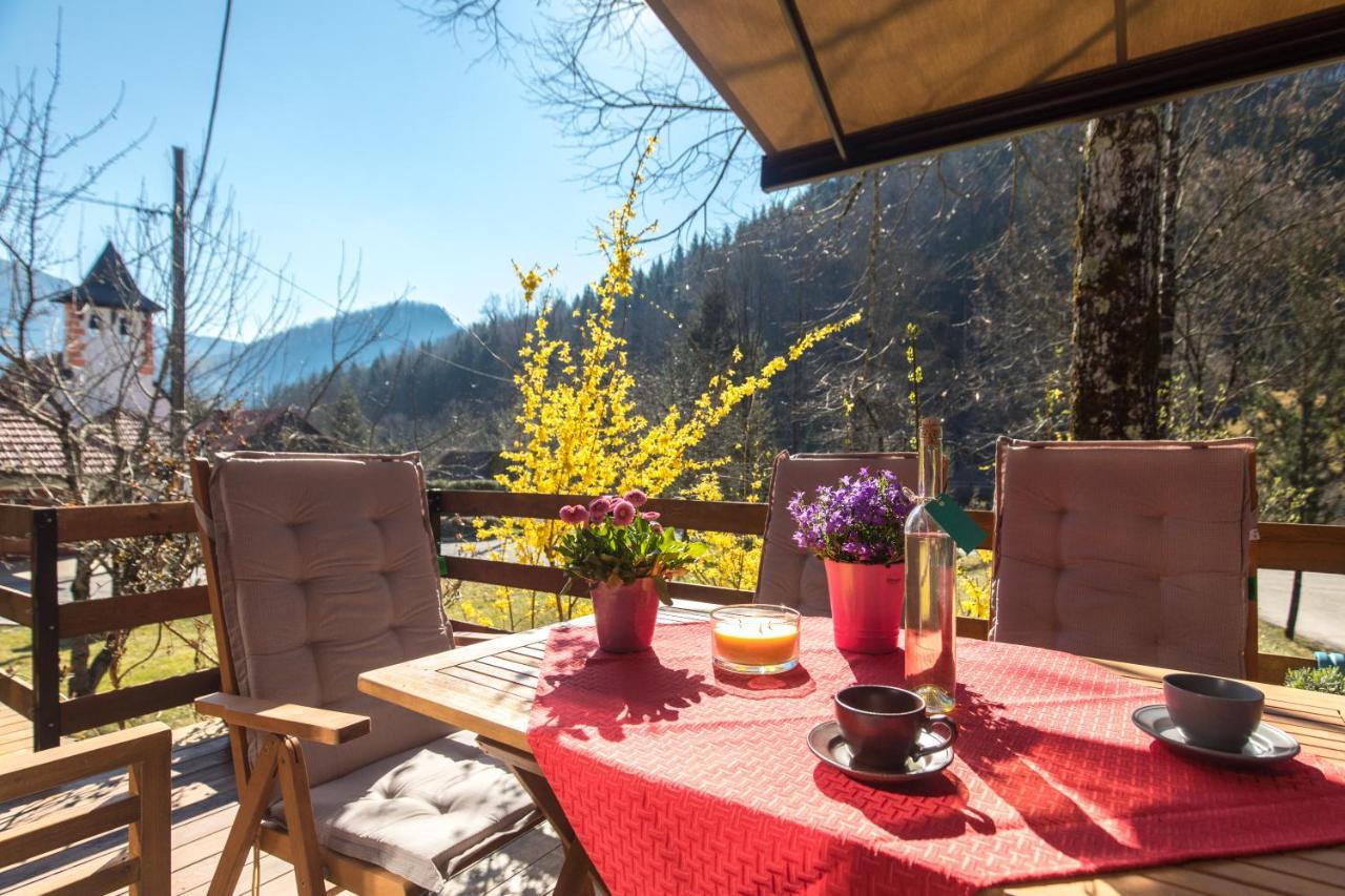 Vila Rozi, Osilnica - Vacation House Pr' Vili Rozi ภายนอก รูปภาพ