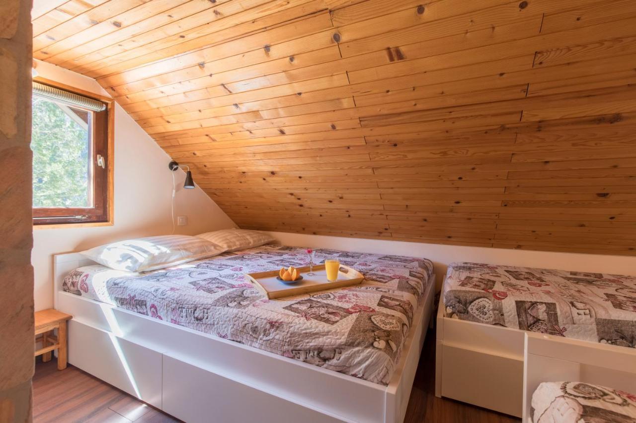 Vila Rozi, Osilnica - Vacation House Pr' Vili Rozi ภายนอก รูปภาพ